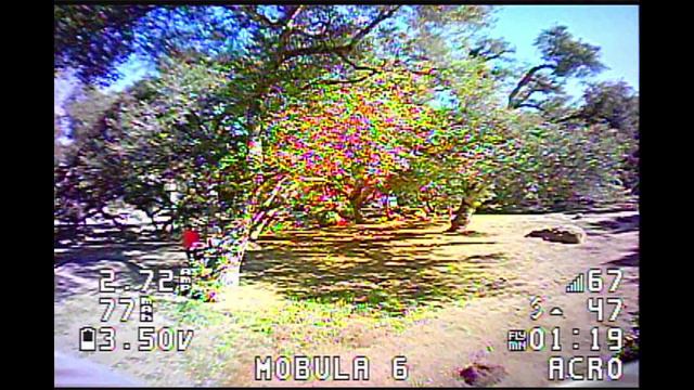 Mobula 6 at the Park смотреть онлайн