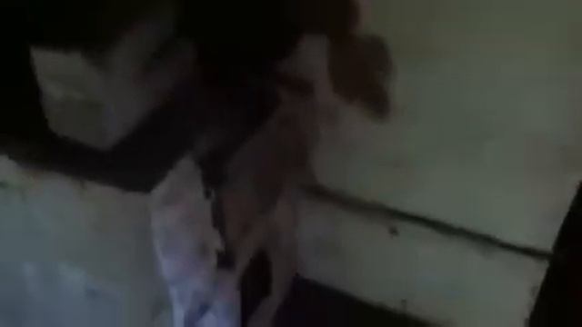 Дом Довлатова смотреть онлайн