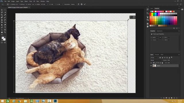 Photoshop - Move Tool смотреть онлайн
