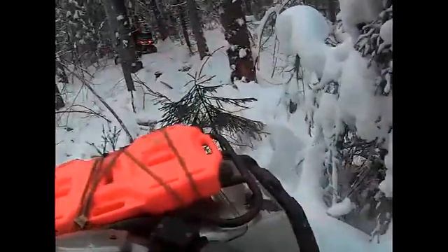 Конаково Малое Новоселье!!!! смотреть онлайн