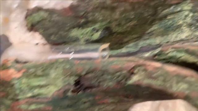 Террариум EXO-TERRA 30х30х40 .Палюдариум.Шаг за шагом.Part 1 смотреть онлайн