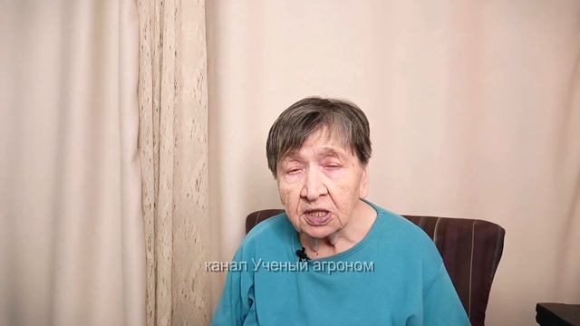 Почему яблоня плодоносит только через год смотреть онлайн