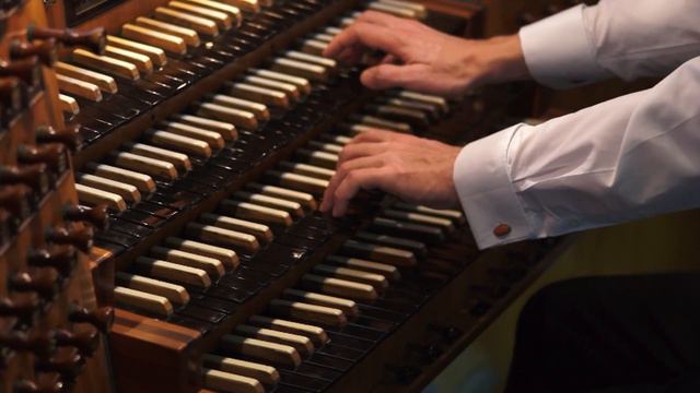 Vivaldi - Adagio from RV317 смотреть онлайн