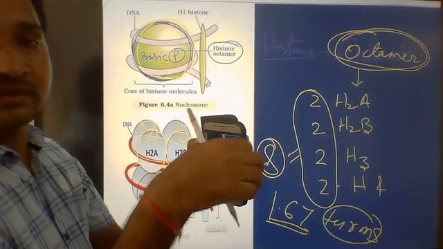 Class-XII Chapter- Molecular basis of inheritance Period-2 смотреть онлайн