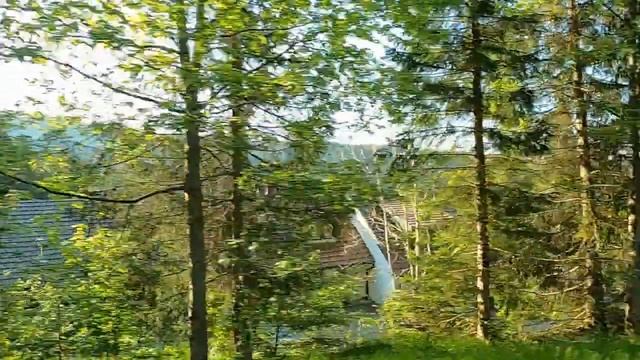 Заповедные места Германии! Чёрный лес. Schwarzwald. смотреть онлайн