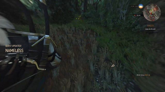 Witcher 3 Wild Hunt Xbox Series X Achievement Trophy Walkthrough Part 41