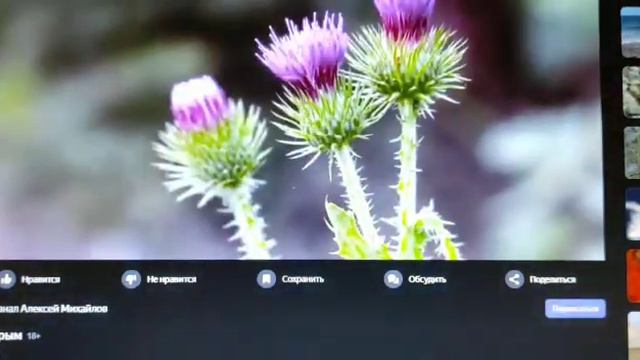 СКОЛЬКО Я ЗАРАБОТАЛ ЗА МЕСЯЦ НА ЯНДЕКС ЭФИРЕ смотреть онлайн