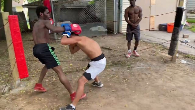 BACKYARD BOXING SHOWDOWNS (ACTIONS FIGHT) смотреть онлайн