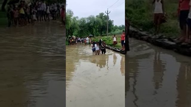 flueds смотреть онлайн