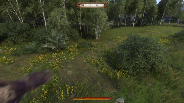 Kingdom Come Deliverance - Flying glitch смотреть онлайн