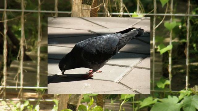 Olympus SP-570UZ Sample Photo Gallery смотреть онлайн