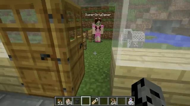 Minecraft: LITTLE PETS!! (HAMSTERS, HEDGEHOGS, & FERRETS!) Mod Showcase смотреть онлайн