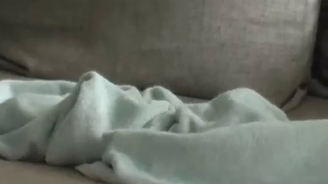 Ferret.play After Swimming 