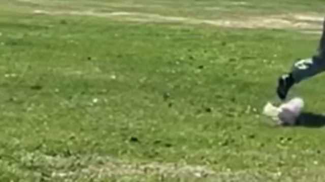 ПРИЕХАЛА СЕСТРА В ГОСТИ. ОТКРЫЛИ ГРИЛЬ-СЕЗОН. ПИТАНИЕ смотреть онлайн