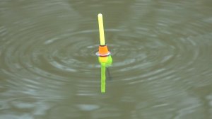 СПАЛИЛИ ВСЁ, А РЫБА ОСТАЛАСЬ. РЫБАЛКА НА ПОПЛАВОК. Рыбалка на поплавочную удочку весной.