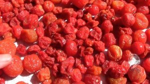 ПОМИДОРКИ ЧЕРРИ ВЯЛЕНЫЕ В МАСЛЕ.  КАК Я ГОТОВЛЮ.