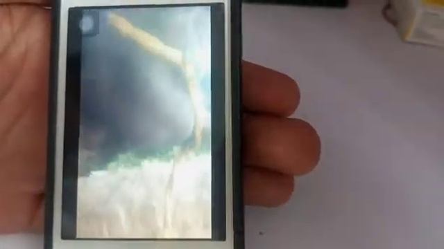 Actinomyces In Cow Diagnosis Treatment 40 Lac Loxin 10ml Dialy