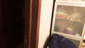 Как вызвать фею исполняющую желаний