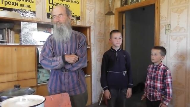 Ломали ветви черёмухи зачем? 15. 07. 2020 смотреть онлайн