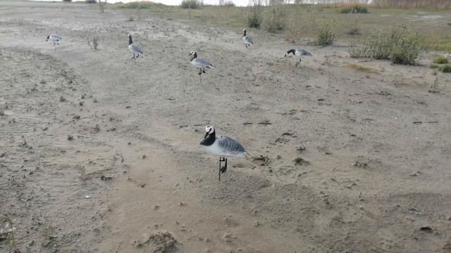 разведка по казаркам смотреть онлайн