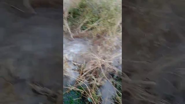 0707195502.Бурим скважины любой сложности на рыба и на палифка внутри Кыргызстан на Любой точ смотреть онлайн