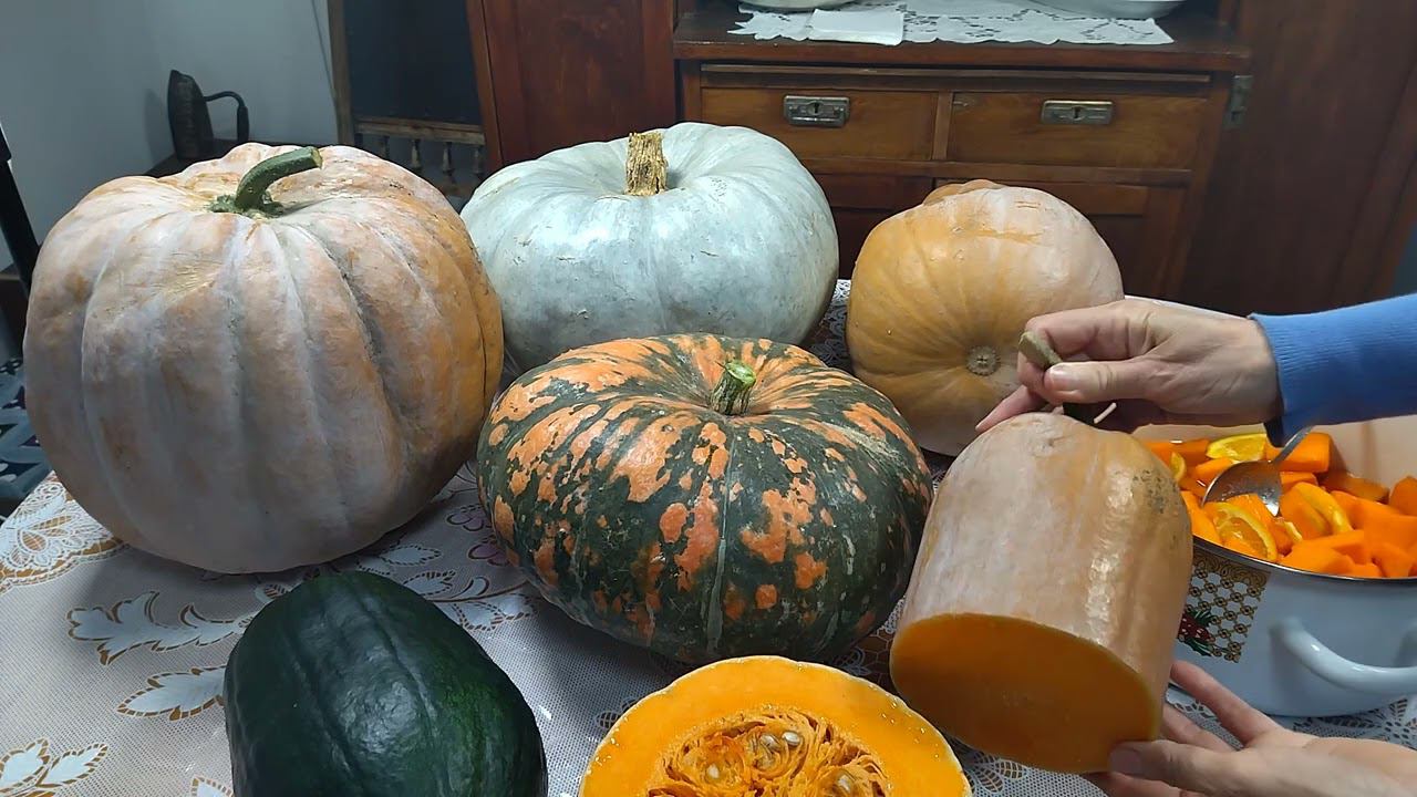 Тыква королева моего огорода смотреть онлайн