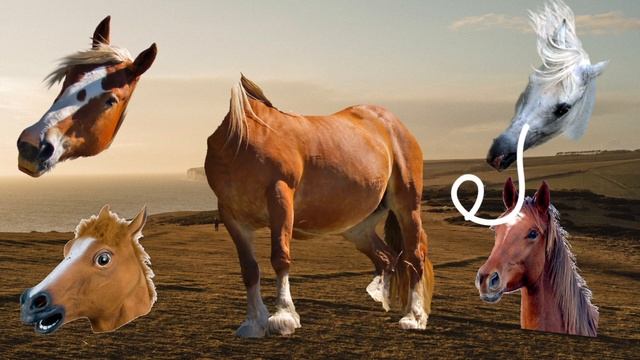 ALEKSIS Cute Funny Animals Educational Games,For children and Adults. Puzzles for the whole Hors смотреть онлайн