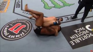 Алексей Олейник vs Морис Грин / Alexey Oleinik vs Maurice Green / #ufc246 полный бой