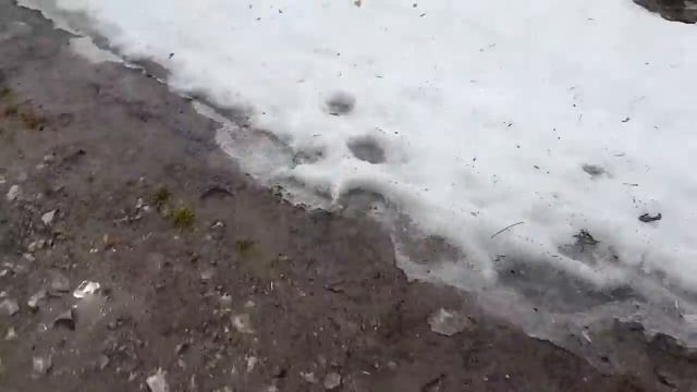 Нива. Раздатка 3к1. смотреть онлайн