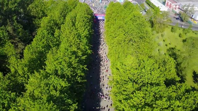 ЗаБЕГ РФ Санкт-Петербург 2018 смотреть онлайн
