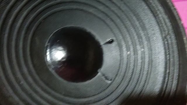 Динамик, акустика, динамическая головка 20 см. Лот 00006ВС