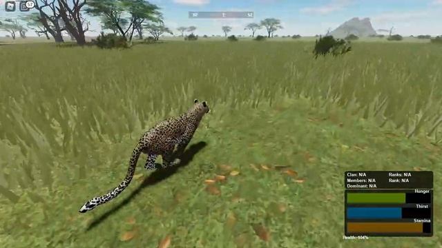 Hunting impala (WILD SAVANNA ROBLOX) смотреть онлайн