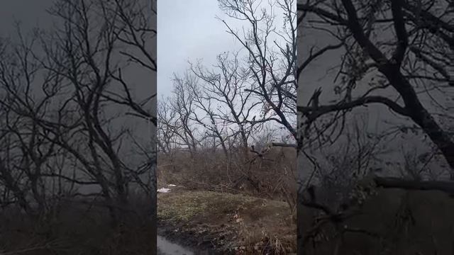 Уничтоженная бронетехника ВСУ в зоне СВО. смотреть онлайн