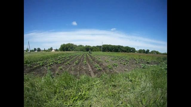 Картофель окучивание Мотоблоком смотреть онлайн