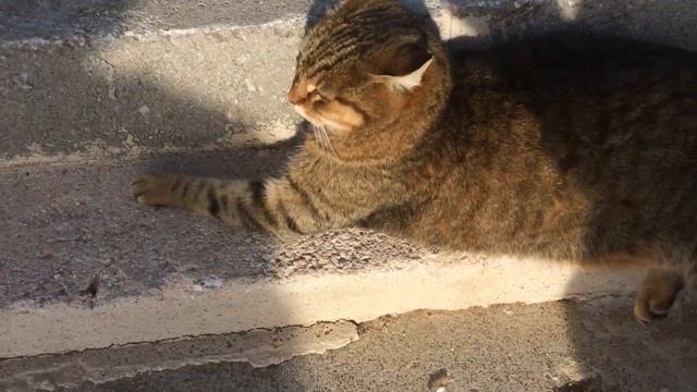 Таити Таити... не были мы ни на каком Таити... смотреть онлайн