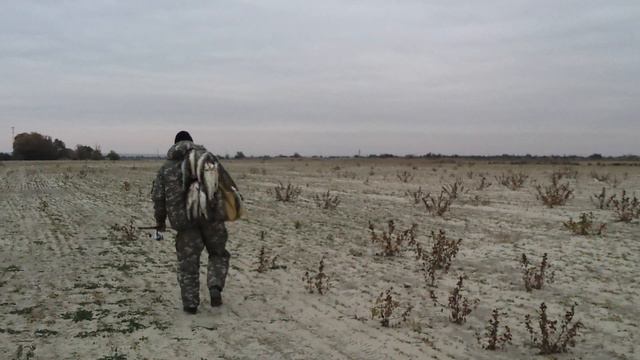 Судак Рогожкино осень 2016 смотреть онлайн