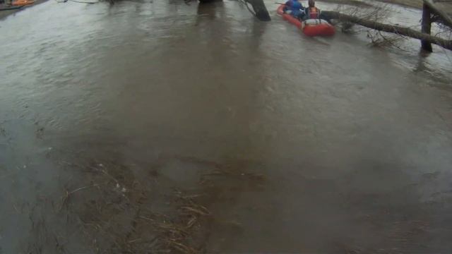 Тест программы смотреть онлайн