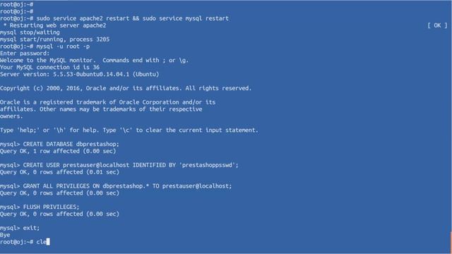 How to Install Prestashop with Apache MySQl PHP on Linux смотреть онлайн
