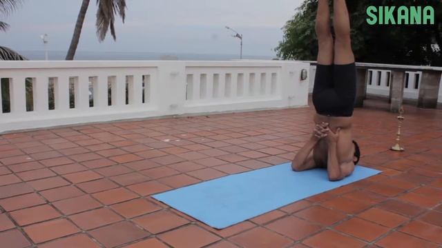Learn yoga poses: Sarvangasana смотреть онлайн