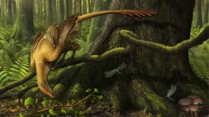 Происхождение птиц