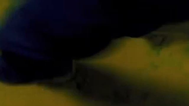 КОЛЕКЦИОНЕР УЖАСЫ 2020 FULL HD смотреть онлайн