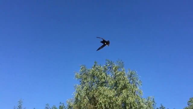 Дельта Волги смотреть онлайн