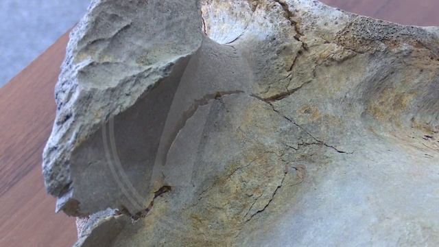 В Костанайском областном историко-краеведческом музее появился новый экспонат смотреть онлайн