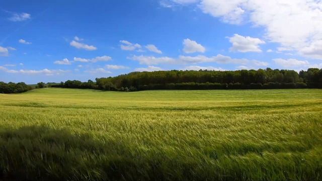 Музыкальная терапия - по стопам Моцарта. смотреть онлайн