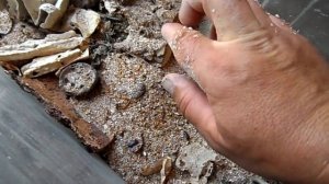 Результат разведение мучного червя.