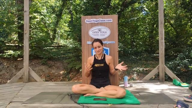 Физиология стресса, ресурсы стрессоустойчивости. Режим работы и отдыха. часть5 смотреть онлайн