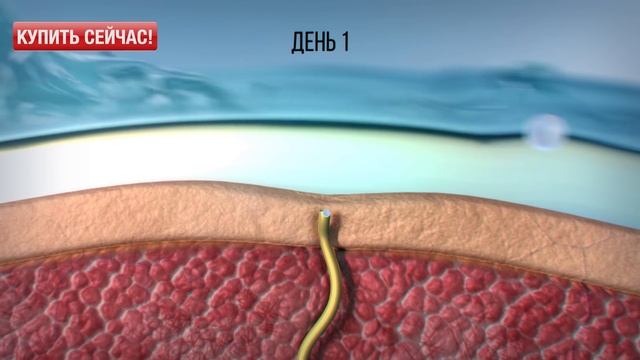Натуральные дезодоранты SyNeo 5 смотреть онлайн