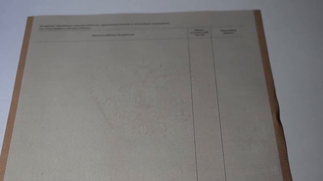 Академическая справка вуза 1996-2009 г.г. Россия, Гознак смотреть онлайн