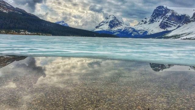 Marcus Warner. Among The Giants