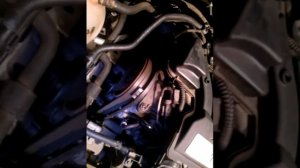 Шум двигателя на холодную, шкода октавия а-5 1,6 BSE